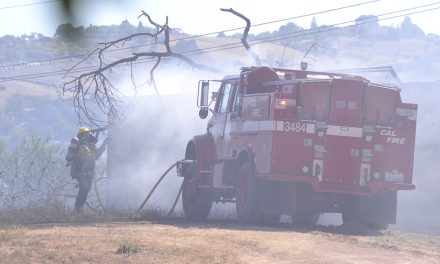UPDATED: Firefighters Contain Blaze in Paso Robles