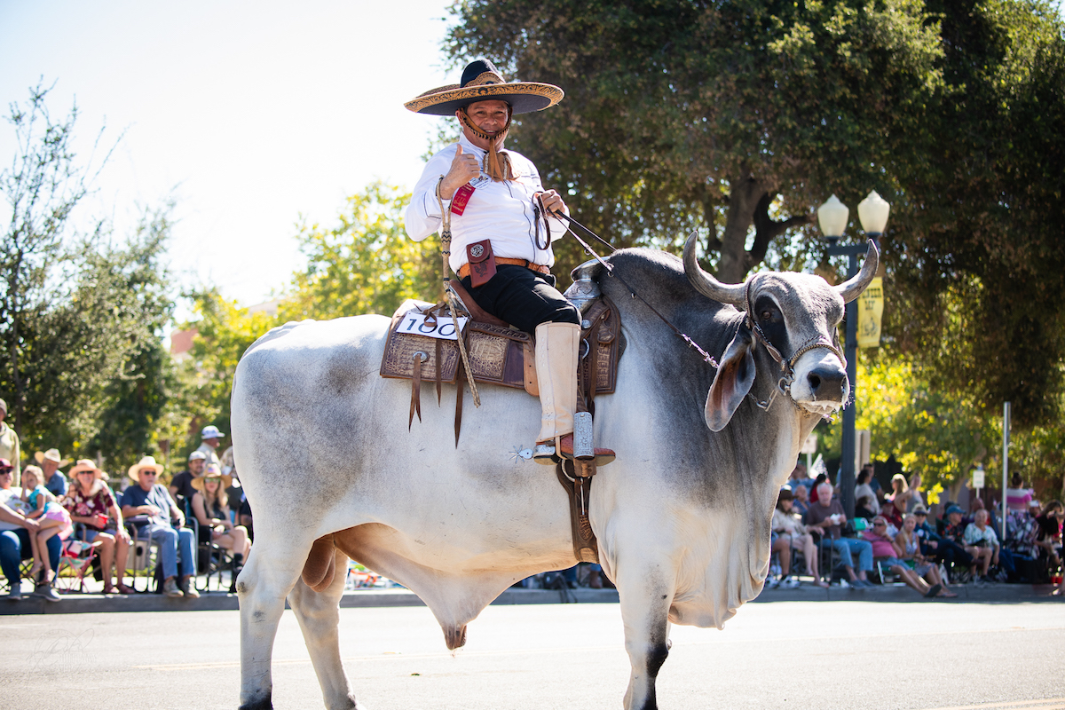 92nd Paso Robles Pioneer Day Parade Makes its Way Through Downtown