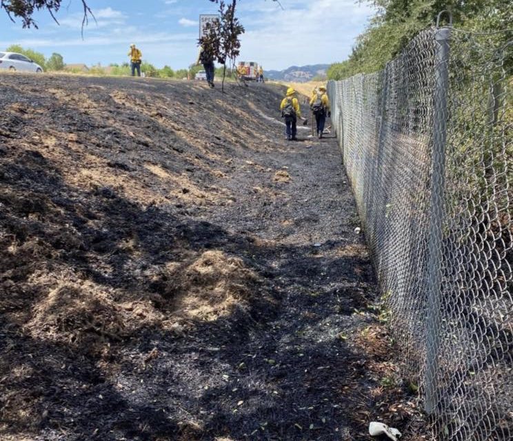 Paso Firefighters Respond to Vegetation Fire on Sunday