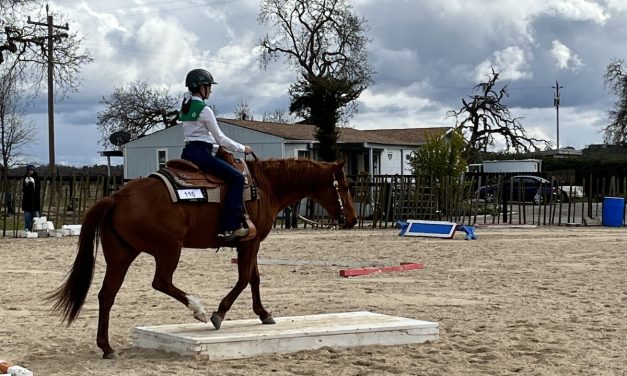 Back in the Saddle Open Horse Show Supports Local 4-H
