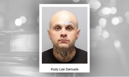 Grand theft suspect arrested after second theft attempt at Lowes