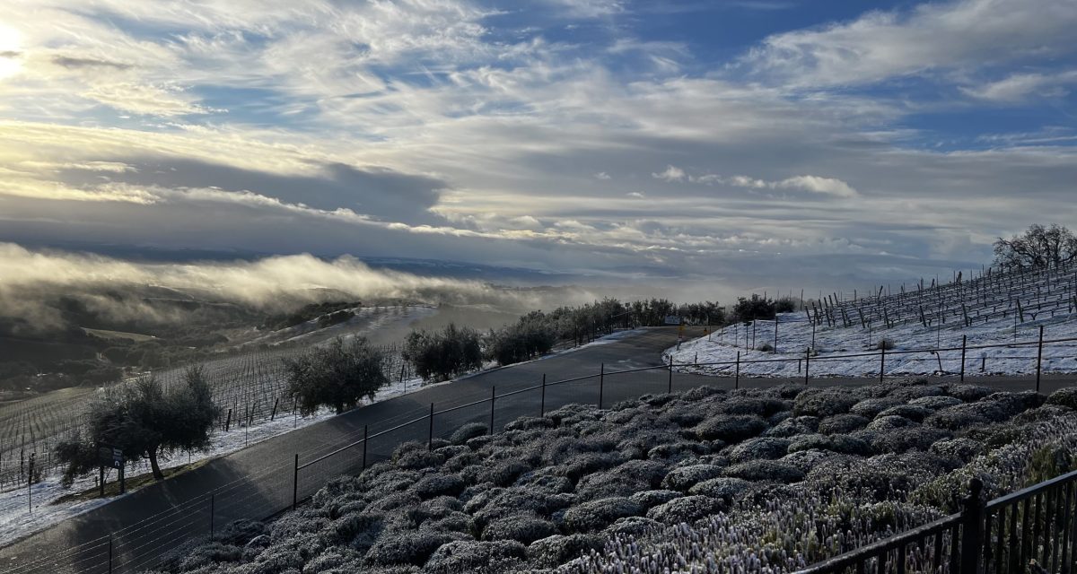 Community Photos of the North County Snow 