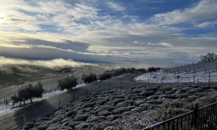 Community Photos of the North County Snow 