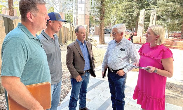 Water board hits pause on flows for Scott, Shasta rivers