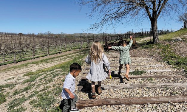 Kid-friendly wine tasting