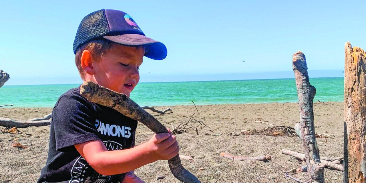 Beat the heat with a day in Cambria