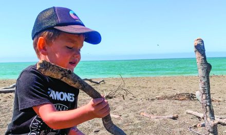 Beat the heat with a day in Cambria