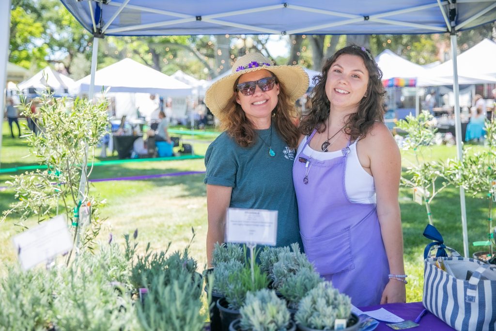 Annual Olive and Lavender Festival draws big crowd and new additions ...