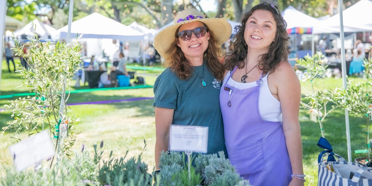 Annual Olive and Lavender Festival draws big crowd and new additions
