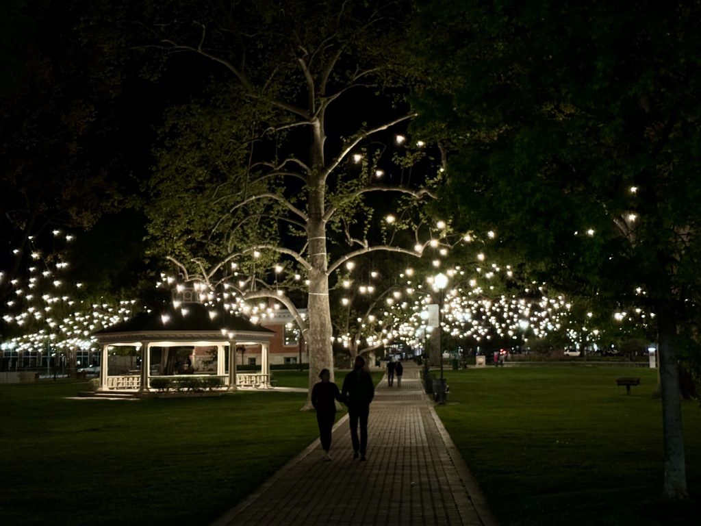 Year-round lights illuminate Downtown City Park • Paso Robles Press