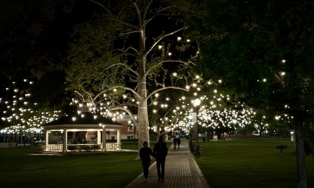 Year-round lights illuminate Downtown City Park