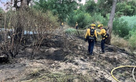 Salinas River fire believed to be human caused 