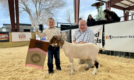 Over 800 exhibitors show at 39th annual Western Bonanza Jr. Livestock Show 