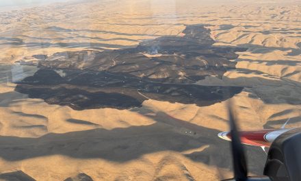 Bitter Fire contained after burning 1,651 acres near Shandon