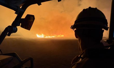 Fort Hunter Liggett crews aid in Madre Fire containment efforts