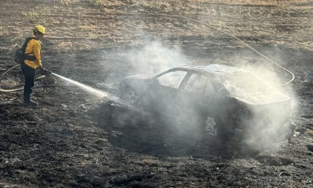 Vehicle fire sparks small vegetation blaze near Paso Robles