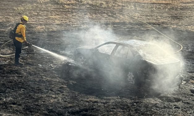 Vehicle fire sparks small vegetation blaze near Paso Robles