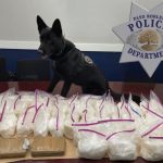 Traffic stop leads to major narcotics Arrest in Paso Robles