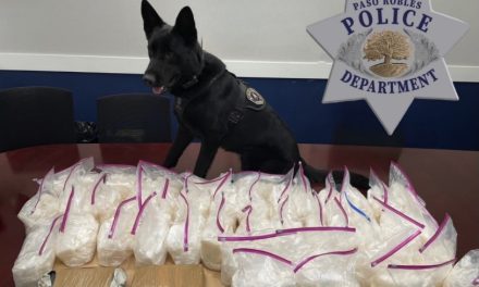 Traffic stop leads to major narcotics Arrest in Paso Robles