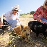 Open Farm Days celebrates local agriculture with record turnout across SLO County