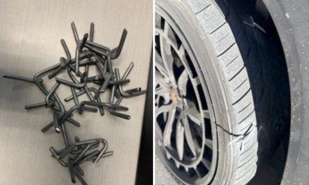 Crime Stoppers Offers $1,000 Reward in Tire Vandalism Investigation