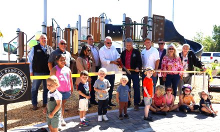 Royal Oak Meadows Park reopens with upgraded play areas, paths, and picnic spaces