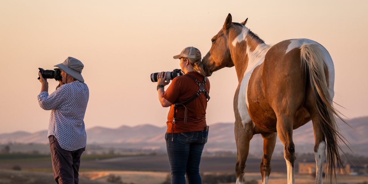 Equine photography workshop to benefit nonprofit