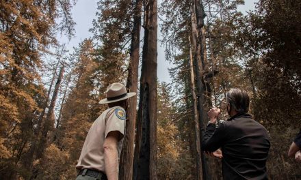 Governor Newsom Requests Major Disaster Declaration to Aid Wildfire Response