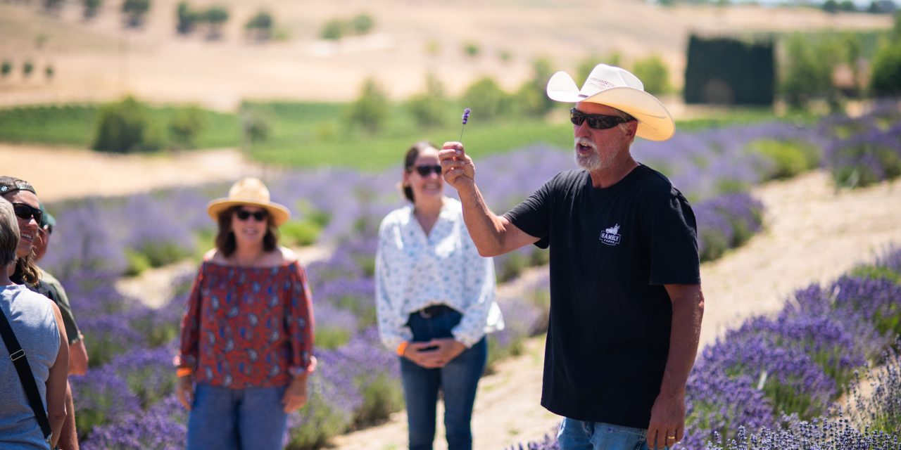 Hambly Farm reopens for summer season
