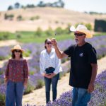 Hambly Farm reopens for summer season