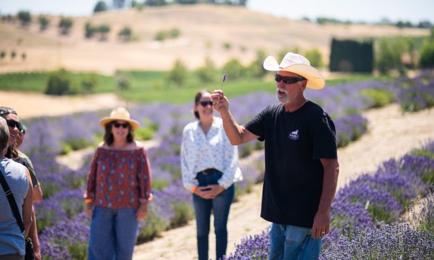 Hambly Farm reopens for summer season