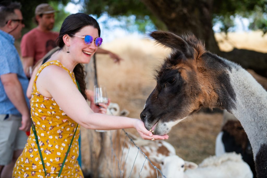 Community connects with local agriculture at FARMstead ED Open Farm