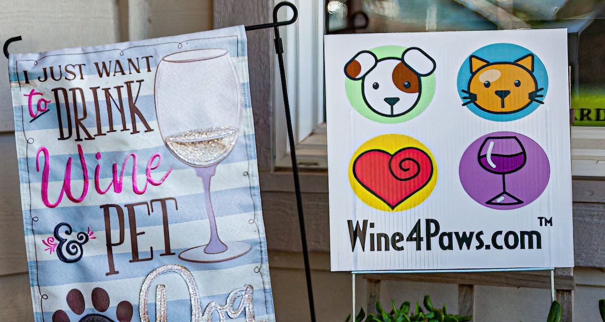 Wine 4 Paws announces new special events including ‘Bark After Dark’ in Downtown Paso