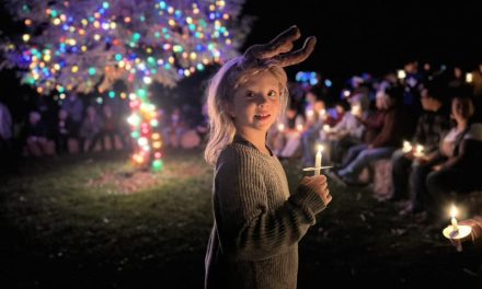 New tree lighting tradition planted in Templeton