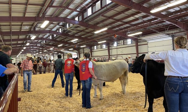 805 AG Kids Expands to SLO County