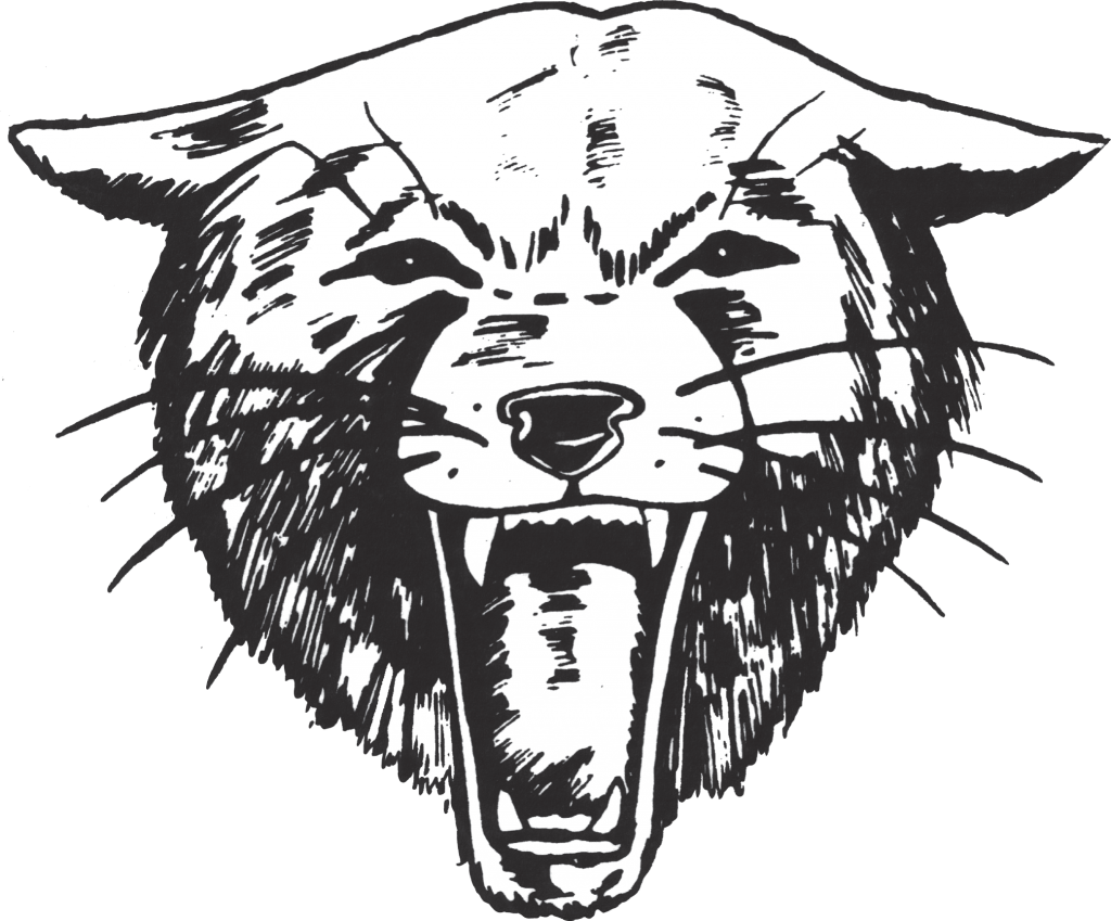 Bearcat logo 2 1