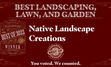 Best of 2022 Winner: Best Landscaping, Lawn & Garden