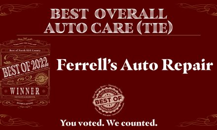 Best of 2022 Winner: Best Overall Auto Care (Tie)