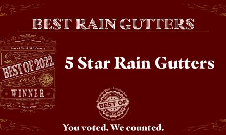 Best of 2022 Winner: Best Rain Gutters