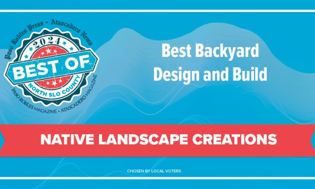 Best of 2024 Winner: Best Backyard Design and Build