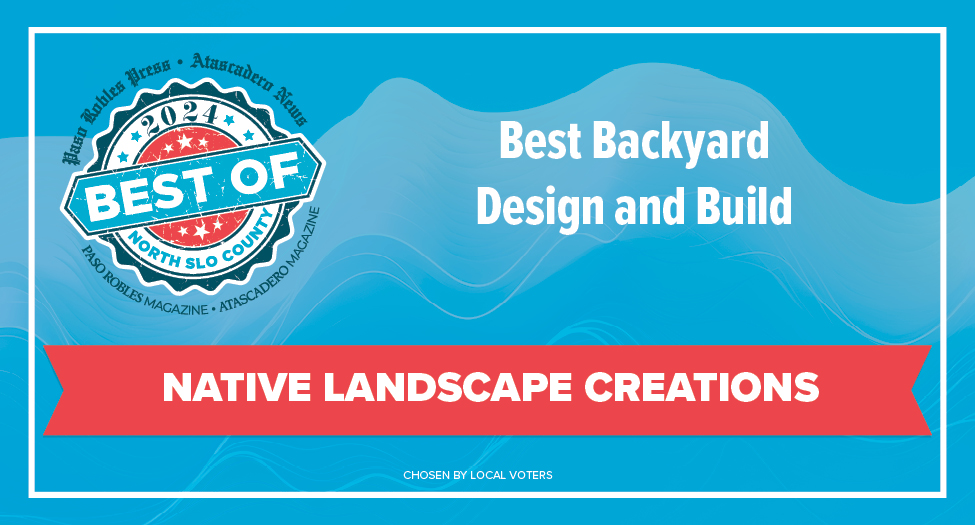 Best of 2024 Winner: Best Backyard Design and Build