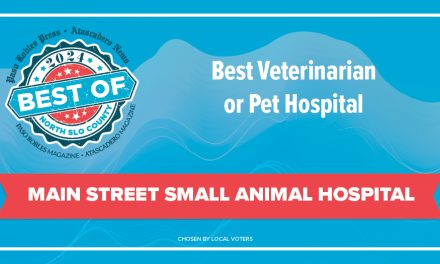 Best of 2024 Winner: Best Veterinarian or Pet Hospital