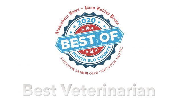 Best of 2020 Winner: Best Veterinarian or Pet Hospital