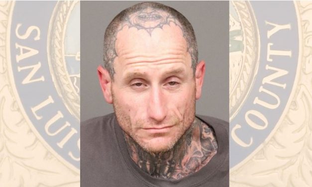 Traffic Stop Leads to Arrest for Possession of Controlled Substance