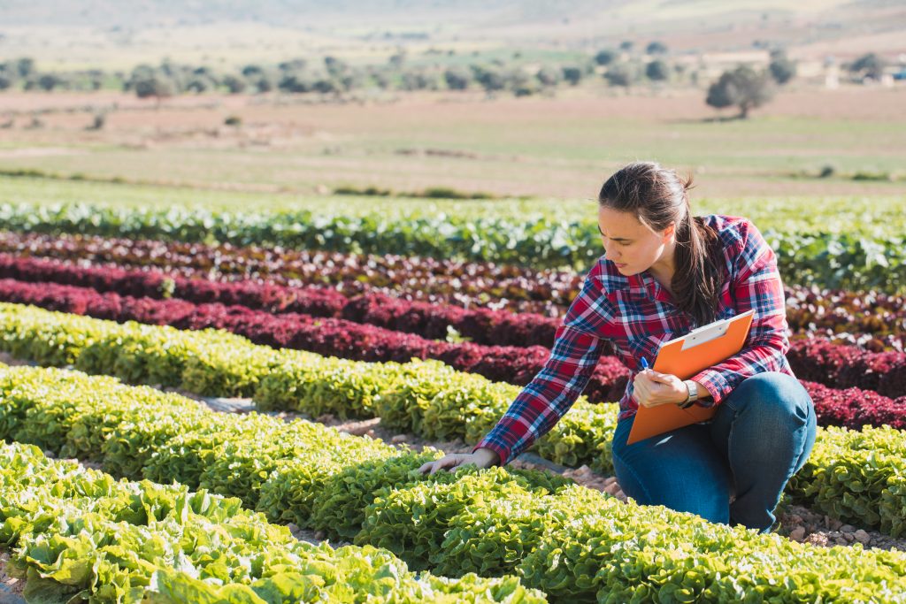 CA Valley Farmer 2021