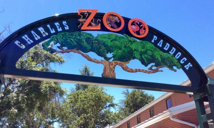The Charles Paddock Zoo Presents Ice Cream Zoofari