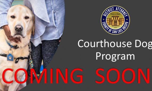 SLO County District Attorney’s Office is Adding a Courthouse Dog