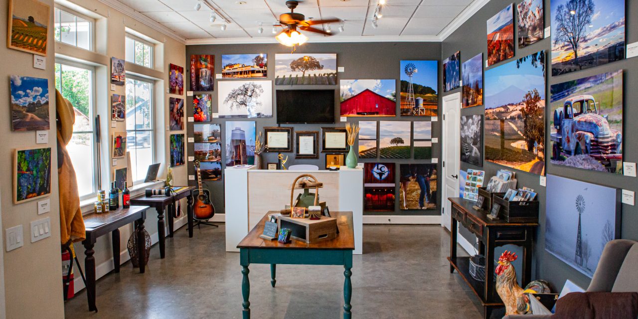 Where Art Comes Alive