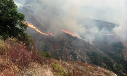 Dolan Fire Now Over 110,000 Acres, 26% contained