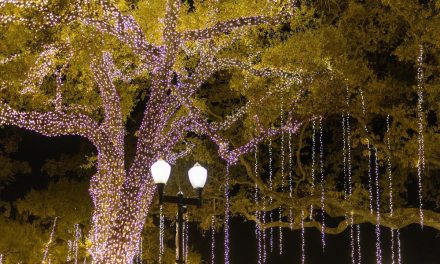 Today is the last day to enjoy the Downtown City Park Holiday Light display